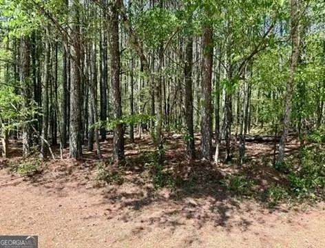 0 Haw Creek Dr, Cumming, GA 30041