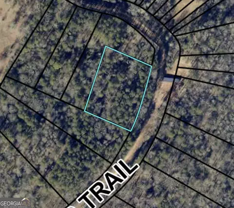0 Morris Trl #LOT 1, Carnesville, GA 30521