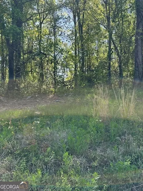 815 Aj Irvin, Talmo, GA 30575 photo 11