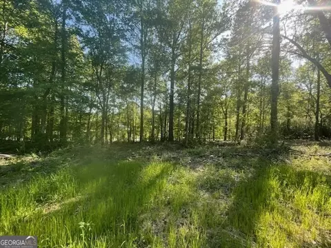 815 Aj Irvin, Talmo, GA 30575 photo 4