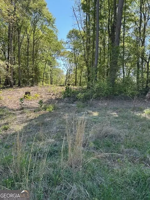 815 Aj Irvin, Talmo, GA 30575 photo 12