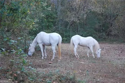 4271 Panthersville Rd, Ellenwood, GA 30294