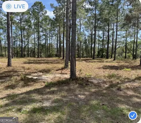 135 Beacon Pointe Pkwy, Waverly, GA 31565