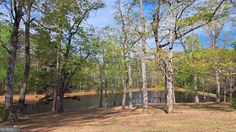 View/Area - 112 Brannon Rd, Buchanan, GA 30113 photo 1 of 3