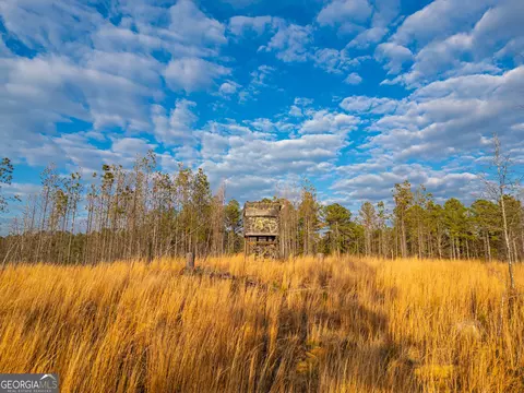 1 Smith Rocky Branch Rd, Carlton, GA 30627