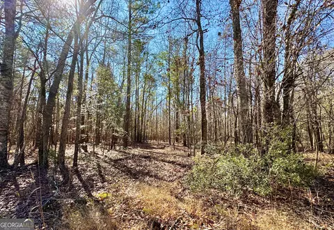 1 Cross Cedar Rd, Wrightsville, GA 31096