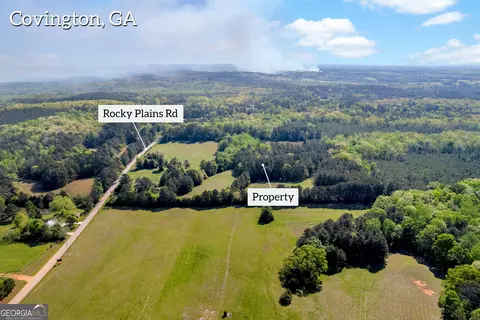 1025 Rocky Plains Rd, Covington, GA 30016