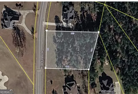 203 River Forest Dr, Forsyth, GA 31029