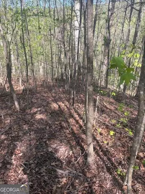 0 Heatherwood Way, Talking Rock, GA 30175