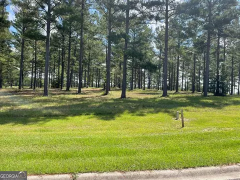 0 Thompson Level Rd, Lyons, GA 30436 photo 5