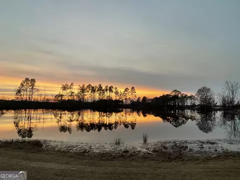 275 Marchants Dairy Rd, Rhine, GA 31077