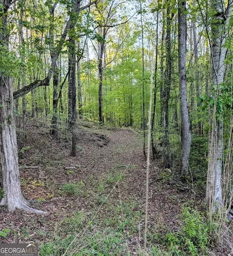 0 Ga Hwy 116, Hamilton, GA 31811