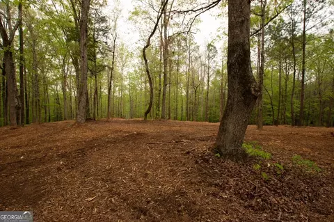 0 River Overlook, Forsyth, GA 31029 photo 4