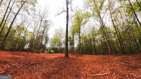 0 River Overlook, Forsyth, GA 31029 photo 7
