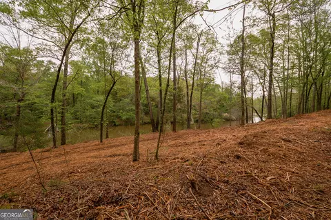0 River Overlook, Forsyth, GA 31029 photo 9