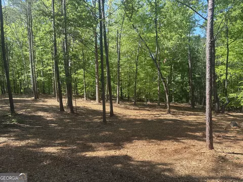 0 River Overlook, Forsyth, GA 31029 photo 22