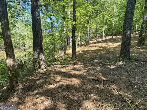 0 River Overlook, Forsyth, GA 31029 photo 18