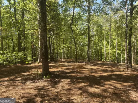 0 River Overlook, Forsyth, GA 31029 photo 21