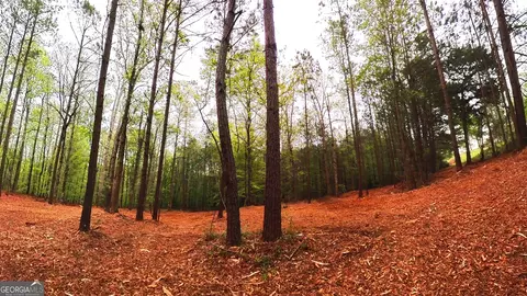 0 River Overlook, Forsyth, GA 31029 photo 8