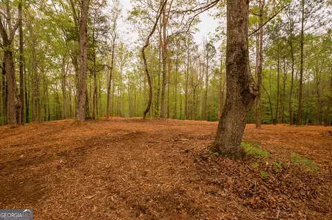 0 River Overlook, Forsyth, GA 31029 photo 11