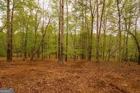 0 River Overlook, Forsyth, GA 31029 photo 12