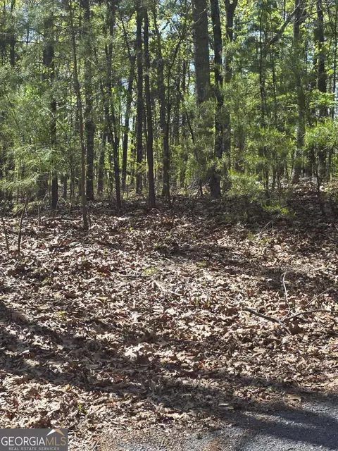 1354 Hunter Dr, Ranger, GA 30734