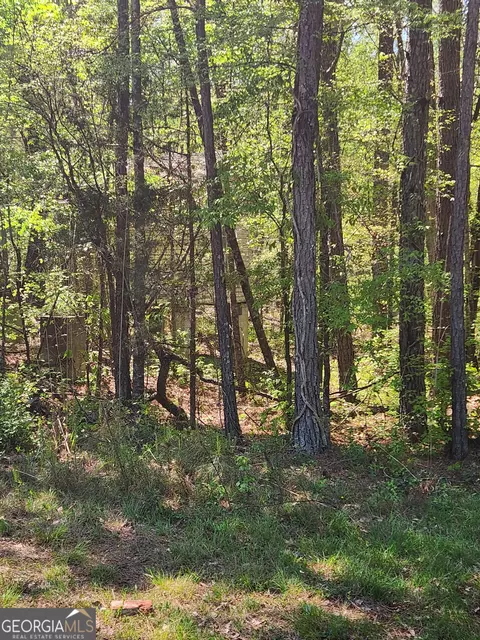 674 Lower River Rd, Covington, GA 30016 photo 9