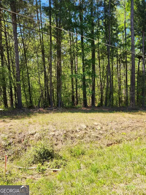 674 Lower River Rd, Covington, GA 30016 photo 3