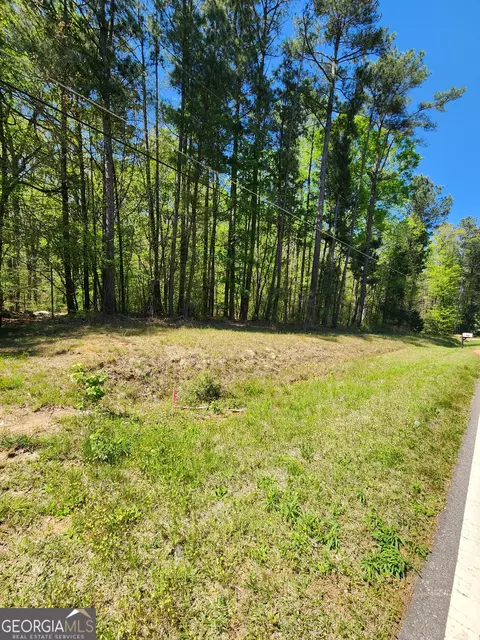 674 Lower River Rd, Covington, GA 30016 photo 12