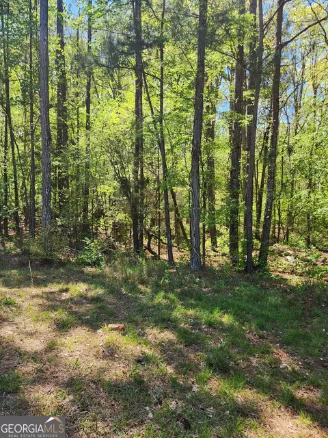674 Lower River Rd, Covington, GA 30016 photo 10