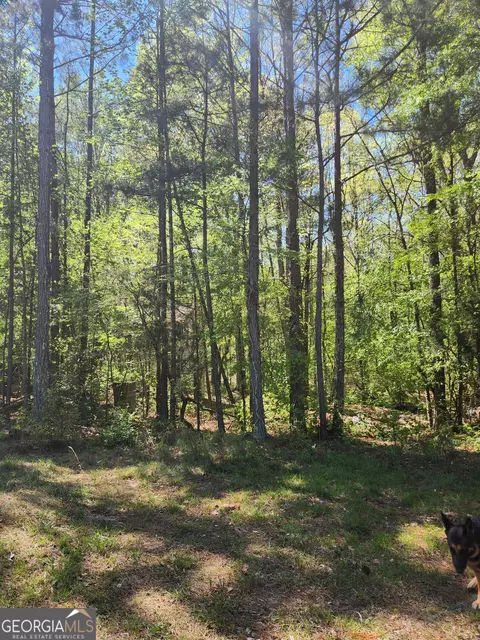 674 Lower River Rd, Covington, GA 30016 photo 4