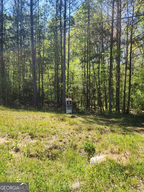 674 Lower River Rd, Covington, GA 30016 photo 8
