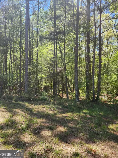 674 Lower River Rd, Covington, GA 30016 photo 5