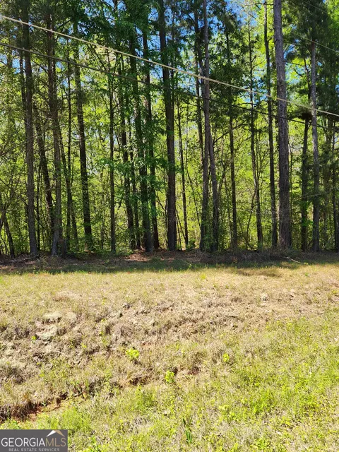 674 Lower River Rd, Covington, GA 30016 photo 7