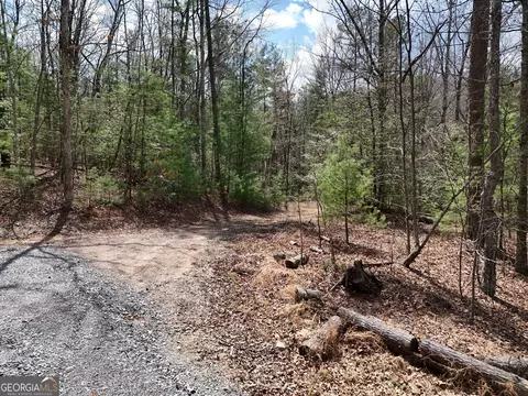 117 Laurel Trail, Blue Ridge, GA 30513