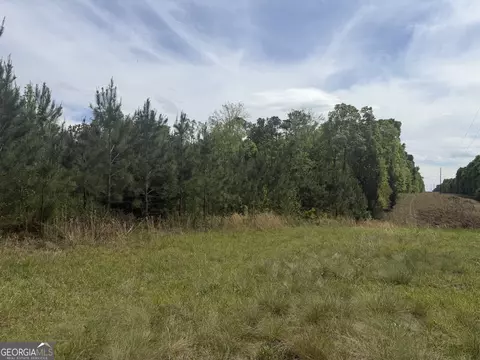 04 George Milling Rd, Cuthbert, GA 39840