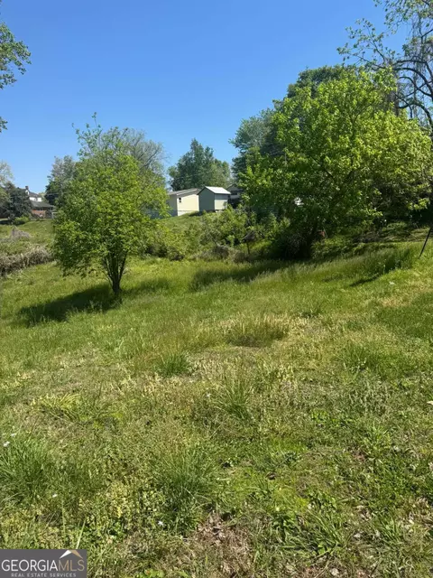 Other - 165 Cherokee Ave, Ball Ground, GA 30107 photo 7 of 11