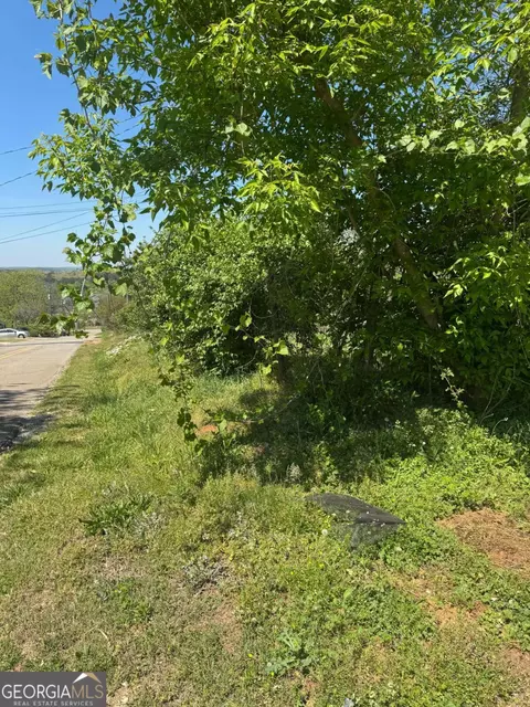 Other - 165 Cherokee Ave, Ball Ground, GA 30107 photo 11 of 11
