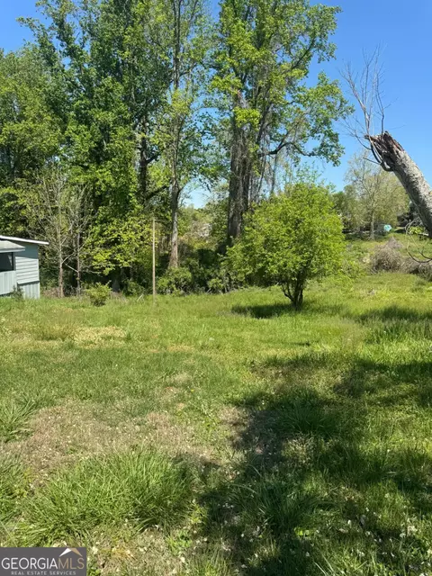Exterior - 165 Cherokee Ave, Ball Ground, GA 30107 photo 4 of 7