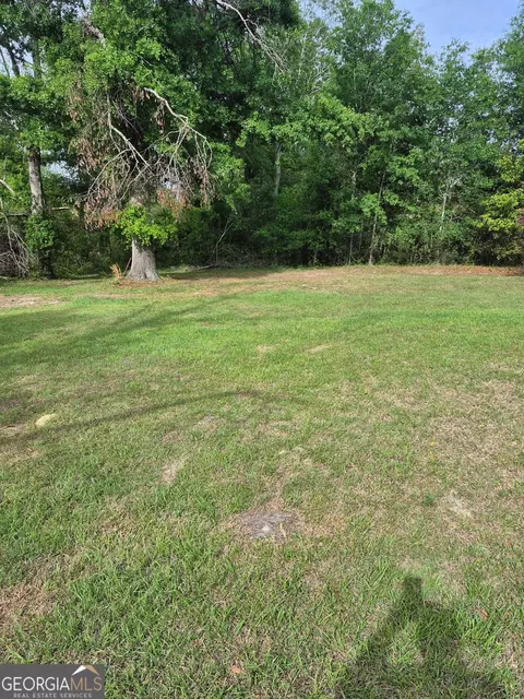 267 Clark Ave, Lyons, GA 30436