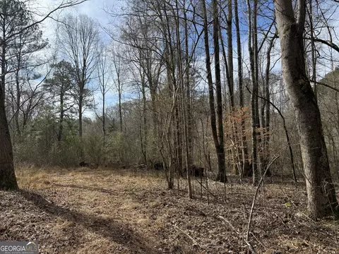 4 51 Acres Whatley Rd N, Lagrange, GA 30240 photo 15