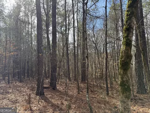 4 51 Acres Whatley Rd N, Lagrange, GA 30240 photo 18