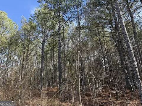 4 51 Acres Whatley Rd N, Lagrange, GA 30240 photo 19
