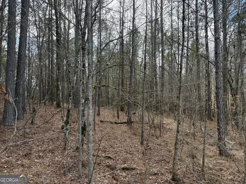 4 51 Acres Whatley Rd N, Lagrange, GA 30240 photo 17
