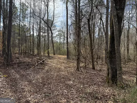 4 51 Acres Whatley Rd N, Lagrange, GA 30240 photo 4