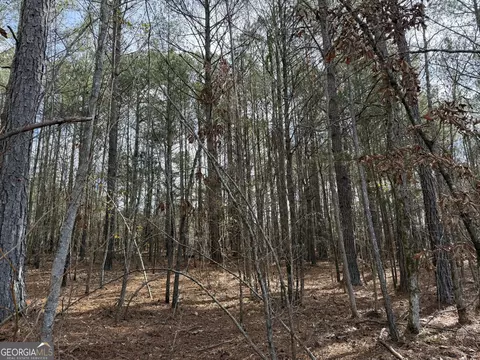 4 51 Acres Whatley Rd N, Lagrange, GA 30240 photo 3