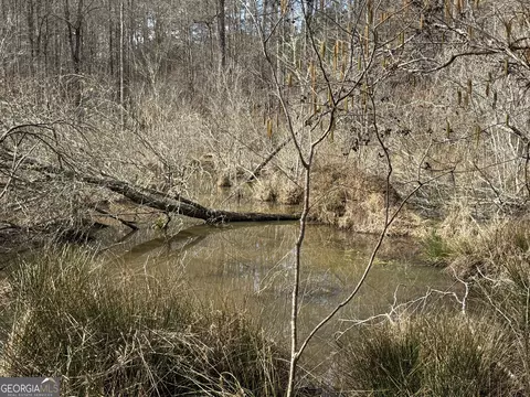 4 51 Acres Whatley Rd N, Lagrange, GA 30240 photo 20
