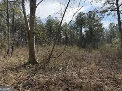 4 51 Acres Whatley Rd N, Lagrange, GA 30240 photo 16