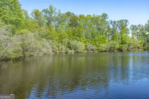 View/Area - 230 Mcgee Rd, Pine Mountain, GA 31822 photo 1 of 1