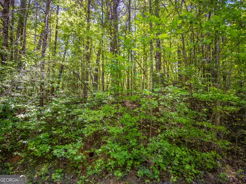 1 01 Acre Oak Dr, Toccoa, GA 30577 photo 14